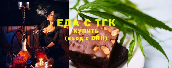 МДПВ Бородино