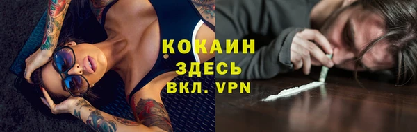 стафф Бронницы