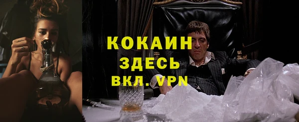 индика Бугульма