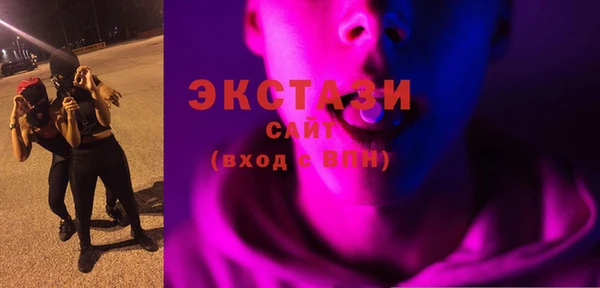 МДПВ Бородино