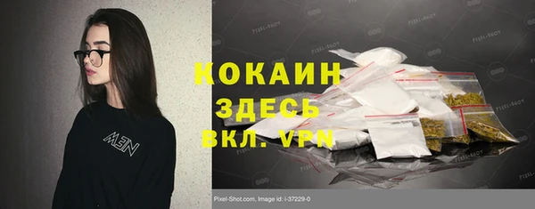 МДПВ Бородино