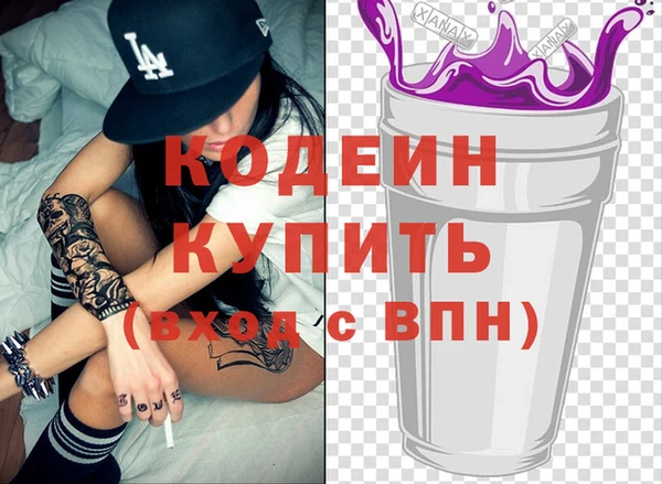 МДПВ Бородино