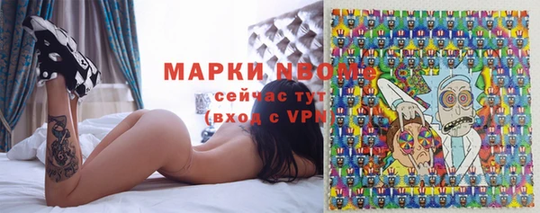 индика Бугульма