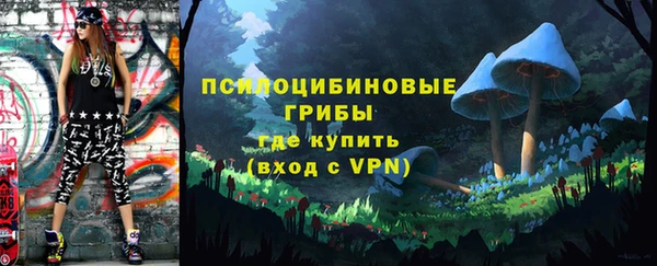индика Бугульма