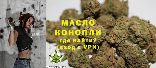 МДПВ Бородино