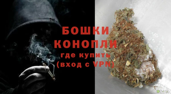индика Бугульма