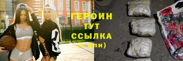 МДПВ Бородино