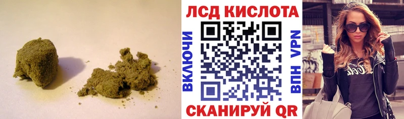 Купить закладки  Светлогорск  LSD-25 экстази ecstasy 