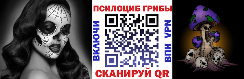 Купить  Светлогорск  Галлюциногенные грибы прущие грибы 